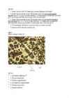 Moodle Test nr 4 #21