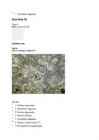 Moodle Test nr 4 #22