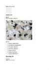 Moodle Test nr 4 #24