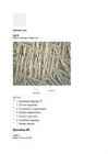 Moodle Test nr 4 #25