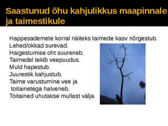 Õhu saastumine #6
