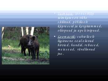 Prantsusmaa powerpoint #5