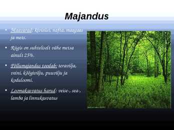 Prantsusmaa powerpoint #8