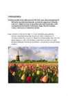 Hollandi toidud #3
