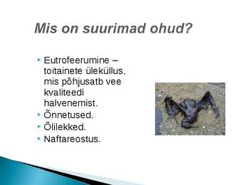 Veekogude reostumine #7