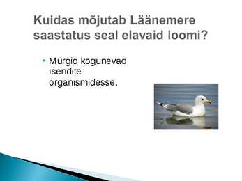Veekogude reostumine #8