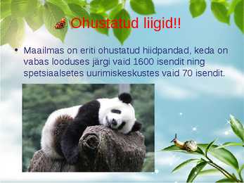 Liikide hävimine #4