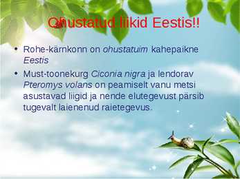 Liikide hävimine #5