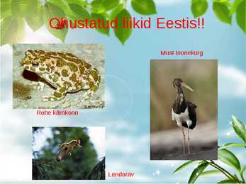 Liikide hävimine #6