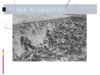 HOLOKAUST #7
