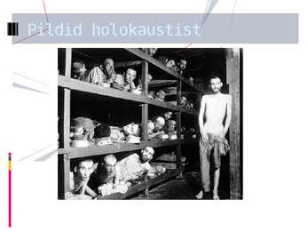 HOLOKAUST #8