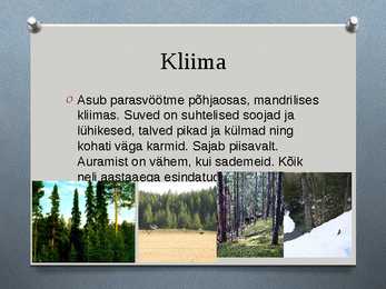 Okasmetsad #3