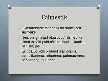 Okasmetsad #5
