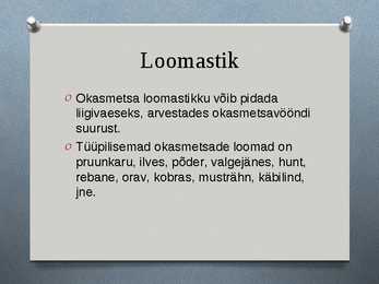 Okasmetsad #8