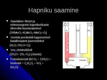 Hapnik #3