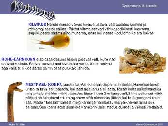 Kõrbe loomad #2