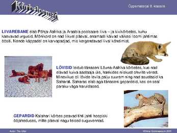 Kõrbe loomad #11