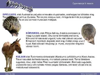 Kõrbe loomad #12
