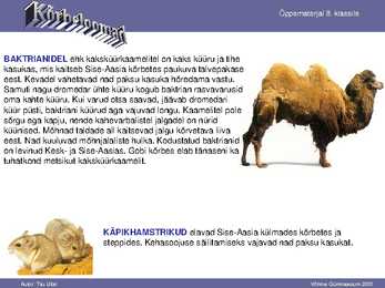 Kõrbe loomad #15