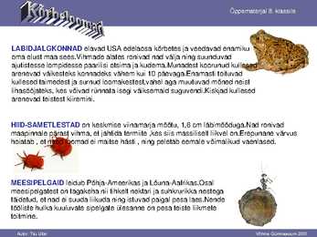 Kõrbe loomad #3