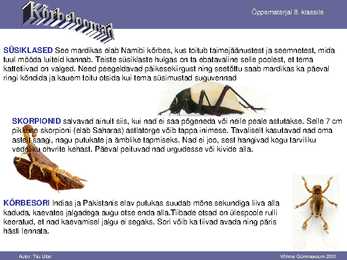 Kõrbe loomad #5