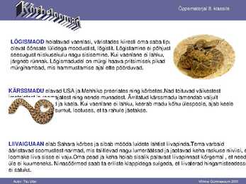 Kõrbe loomad #7