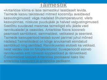 Antarktis #5