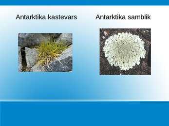 Antarktis #6