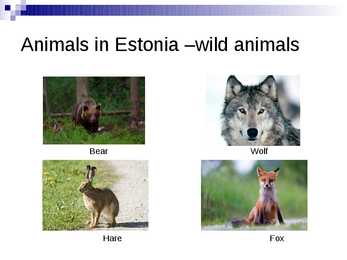 Estonia- ingliskeelne Power-Pointi esitlus #15