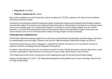 Riskianalüüs #2