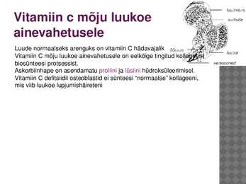 Vitamiinide mõju ainevahetusele #9