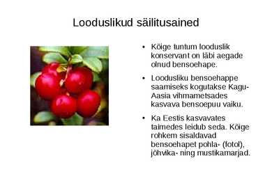 Toiduainete keemia #12
