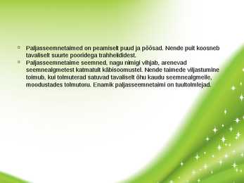 Paljasseemnetaimed #2