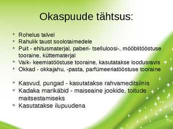 Paljasseemnetaimed #14