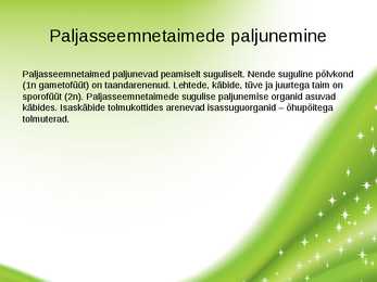 Paljasseemnetaimed #16