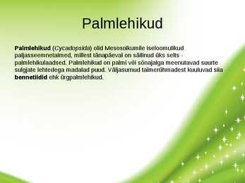 Paljasseemnetaimed #5