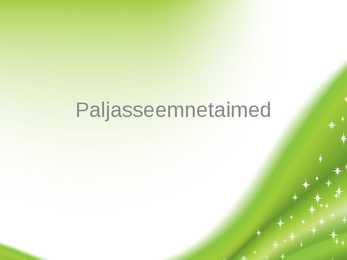 Paljasseemnetaimed