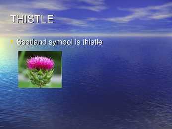 Scotland #6