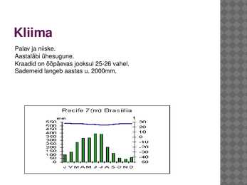 Vihmamets #3