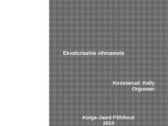 Vihmamets