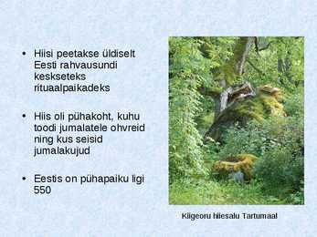 Hiied #3