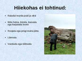 Hiied #5