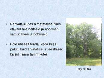 Hiied #6
