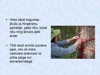 Hiied #7