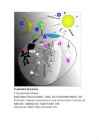 Platoni idealism #7