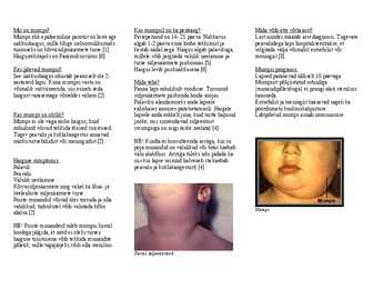 Mumps