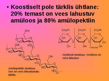 Tärklise ettekanne #4