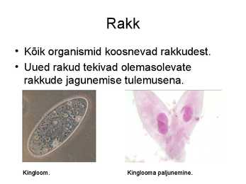 Bioloogia konspekt #2