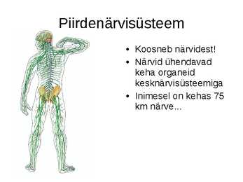 Närvisüsteemi tutvustav esitlus #20