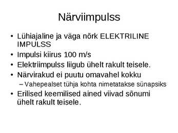 Närvisüsteemi tutvustav esitlus #24